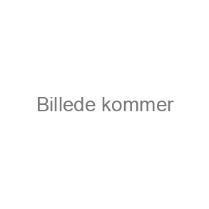 Tysk køreledning H0