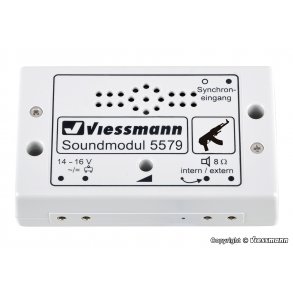 Viessmann 5579