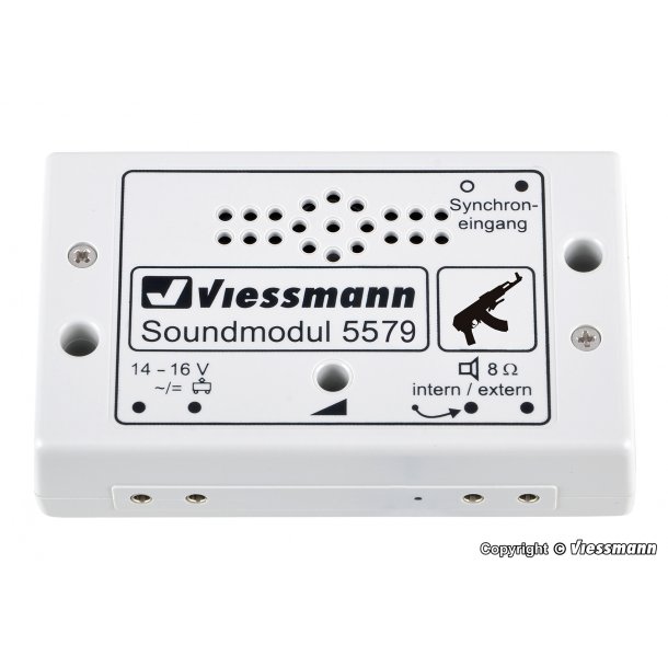 Viessmann 5579